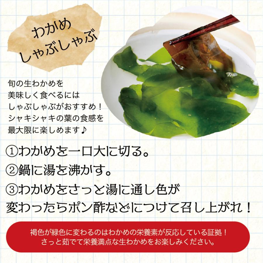 朝採れ冷蔵配送 生わかめ（500g×2袋） 宮城県産 わかめしゃぶしゃぶ 3 
