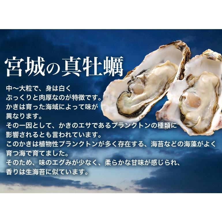 冷凍品ではありません！獲れたて新鮮な 生牡蠣（生食用/300g×2本）冷蔵 取り寄せ 生食 かき むき身｜otr-ishinomaki｜03