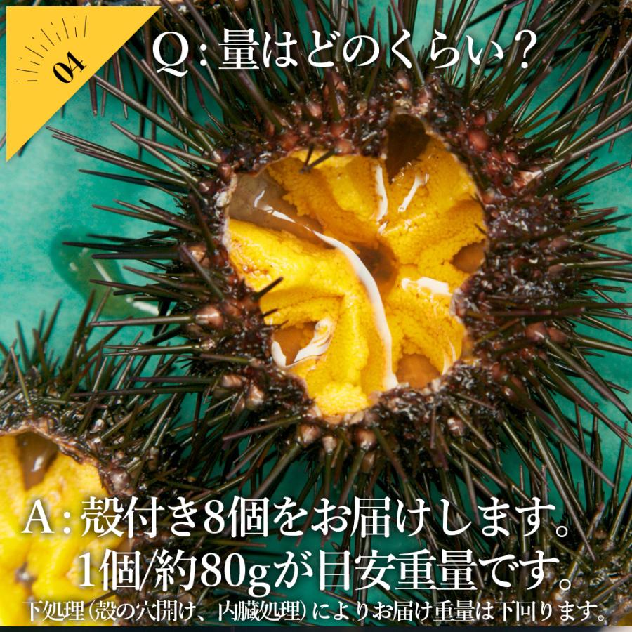 【条件付き送料無料】お造り生うに（8個/殻付き、調理不要/小サイズ）冷蔵 お中元 ギフト 母の日 父の日 【GW期間中も発送可能】｜otr-ishinomaki｜05