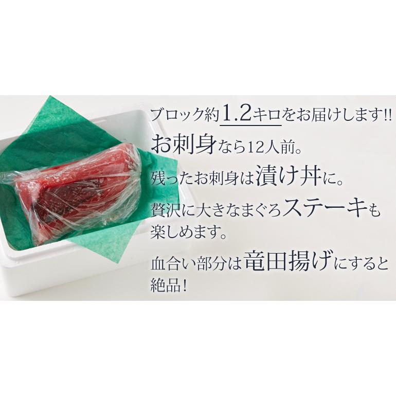 【条件付き送料無料】完全生出荷！限定プレミアムびんちょうまぐろ（1.2kgブロック）冷蔵｜otr-ishinomaki｜05