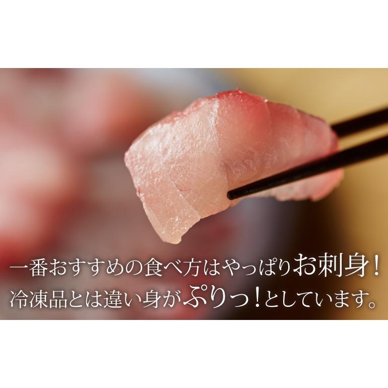 条件付き送料無料 完全生出荷 限定プレミアムびんちょうまぐろ 1 2kgブロック 冷蔵 S08 003 石巻元気商店 通販 Yahoo ショッピング