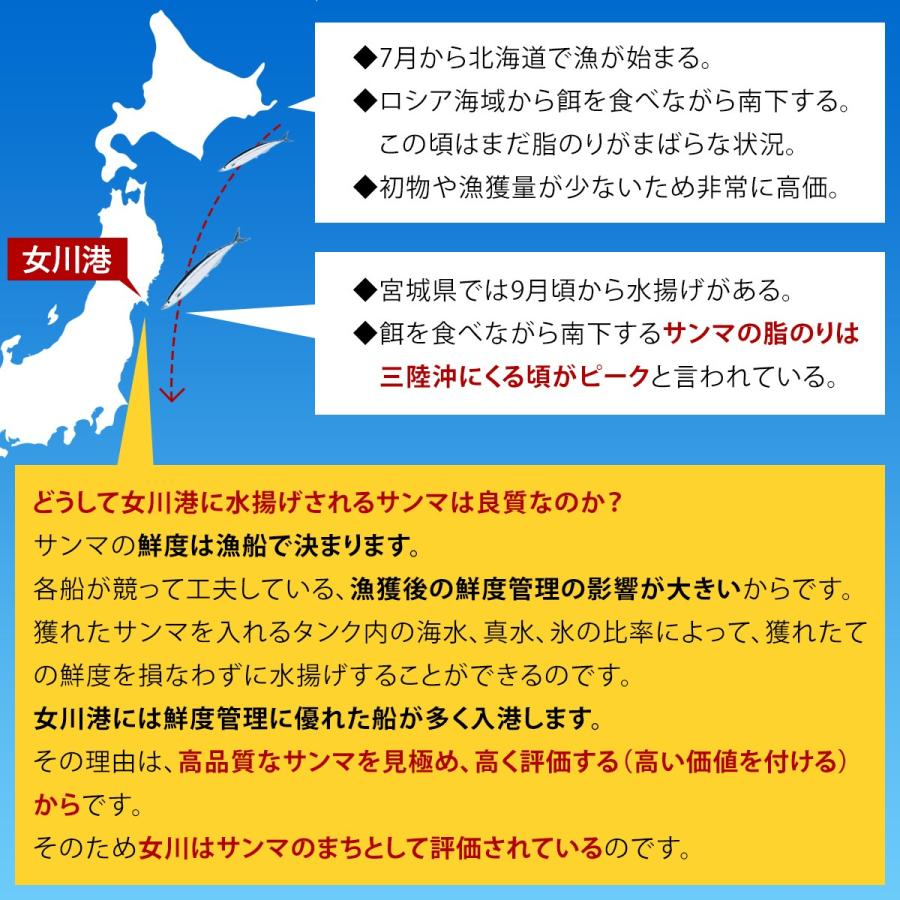 【15尾】品質最優先！生さんま1尾130g前後 宮城県女川港から産地直送｜otr-ishinomaki｜05