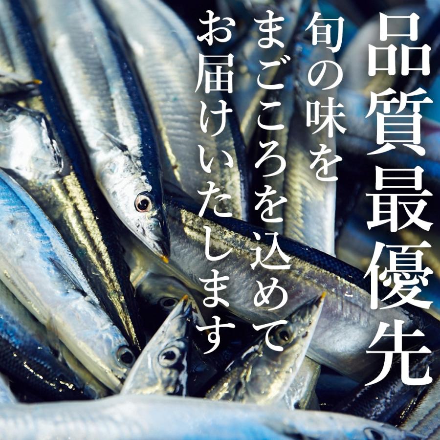 【20尾】品質最優先！生さんま1尾130g前後 宮城県女川港から産地直送｜otr-ishinomaki｜11