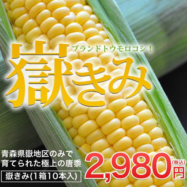極甘トウモロコシ 嶽きみ 10本 冷蔵 T08 002 石巻元気商店 通販 Yahoo ショッピング