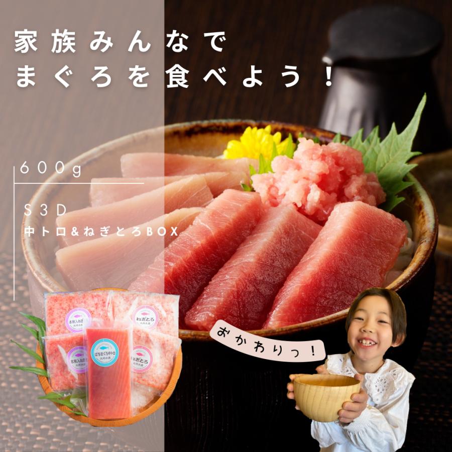 焼津　旨umami 天然 まぐろ BOX【F5D】 | 