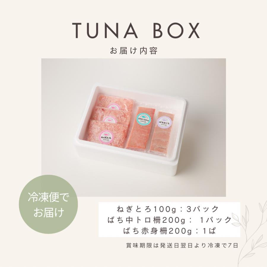 焼津　旨umami 天然 まぐろ BOX【F5D】 |  | 06