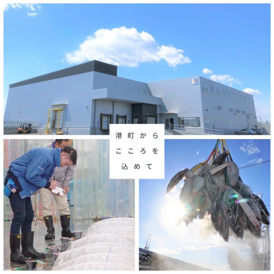 焼津　旨umami 天然 まぐろ BOX【F5D】 |  | 02