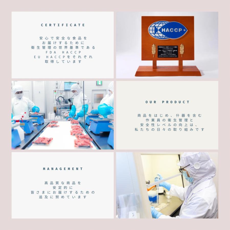 中トロ と ねぎとろ BOX【S3D】 |  | 06