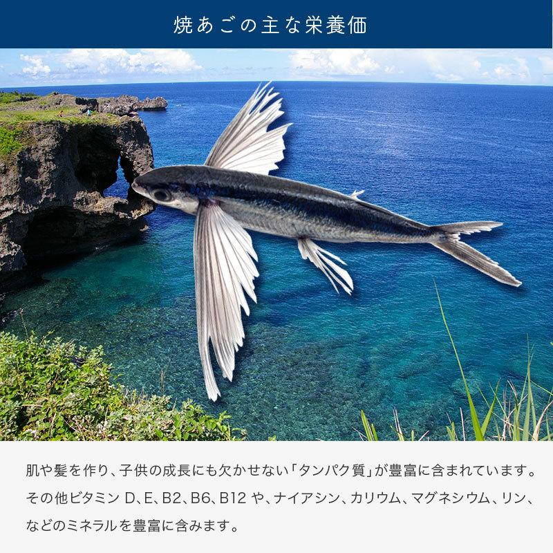 定番の中古商品 焼飛魚 焼あご 個包装入 500ｇ Supplystudies Com