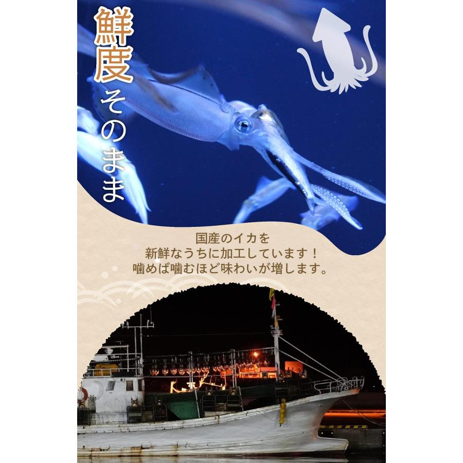 スルメイカ様！専用 スルメ・イカ様