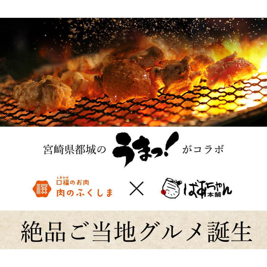 送料込み】鶏炭火焼 極上スパイス喜 150g×5パック 肉のふくしま「極上