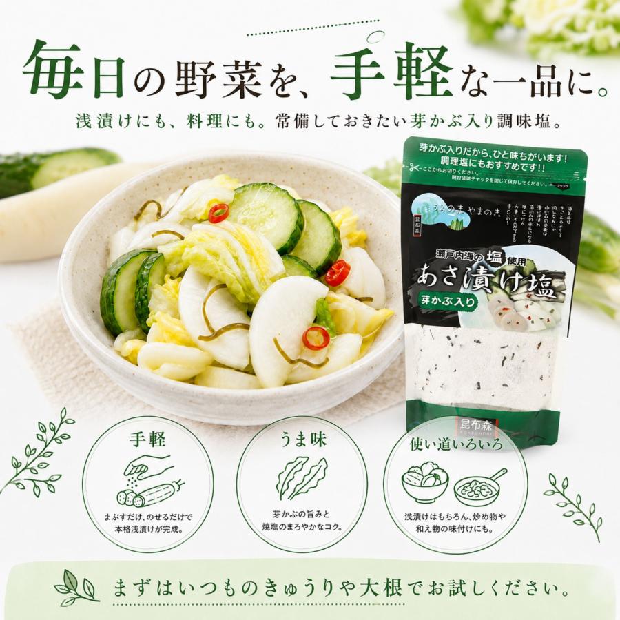 浅漬け塩 芽かぶ入り 焼塩使用 万能調味料 あさ漬けの素 漬物の素 260g