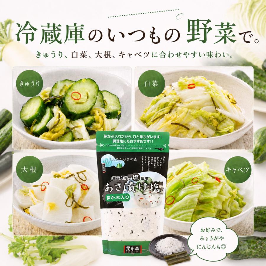 浅漬け塩 芽かぶ入り 焼塩使用 万能調味料 あさ漬けの素 漬物の素 260g
