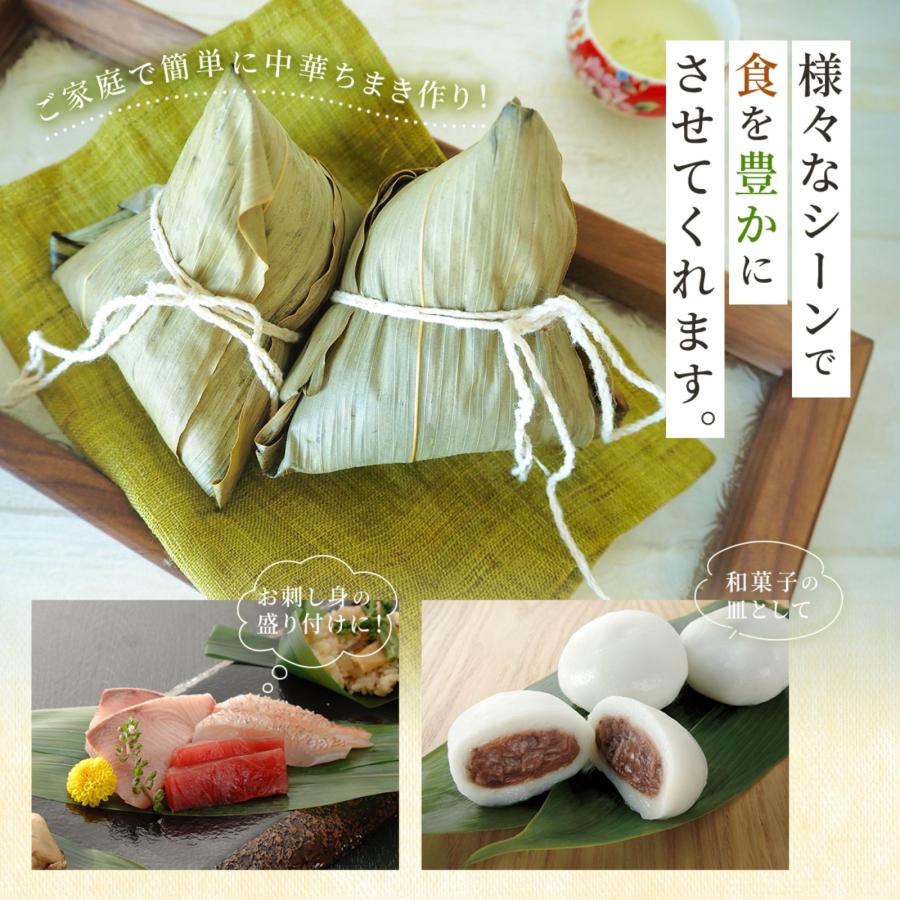 博屋 笹の葉 国産 熊笹 盛り付け用 抗菌乾燥防止 Lサイズ 寿司 刺身