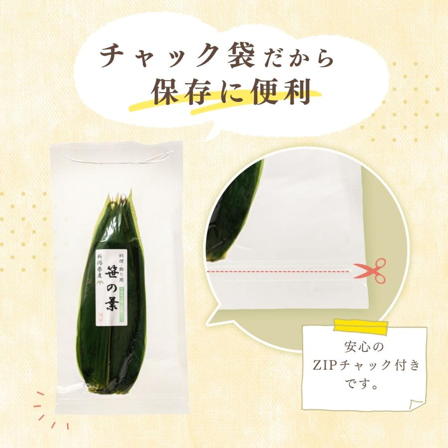 博屋 笹の葉 国産 熊笹 盛り付け用 抗菌乾燥防止 Lサイズ 寿司 刺身