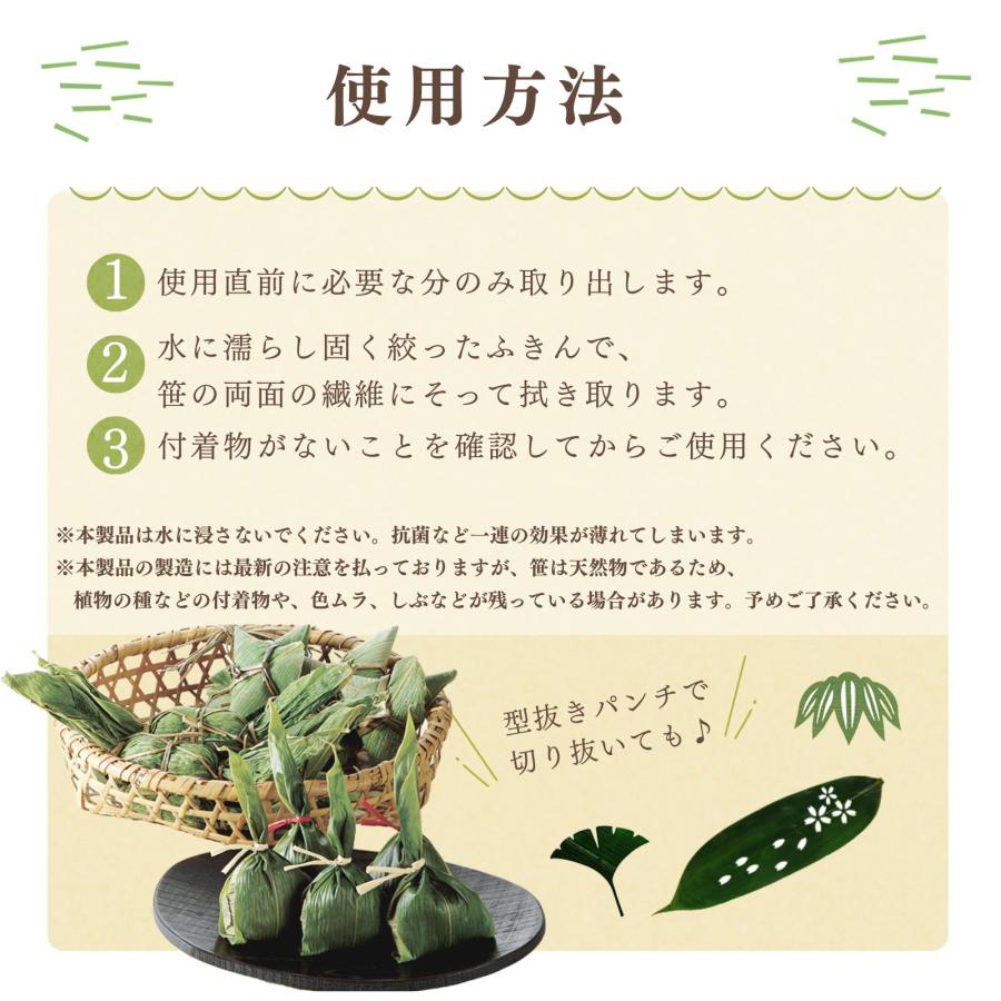 博屋 笹の葉 国産 熊笹 盛り付け用 抗菌乾燥防止 Lサイズ 寿司 刺身