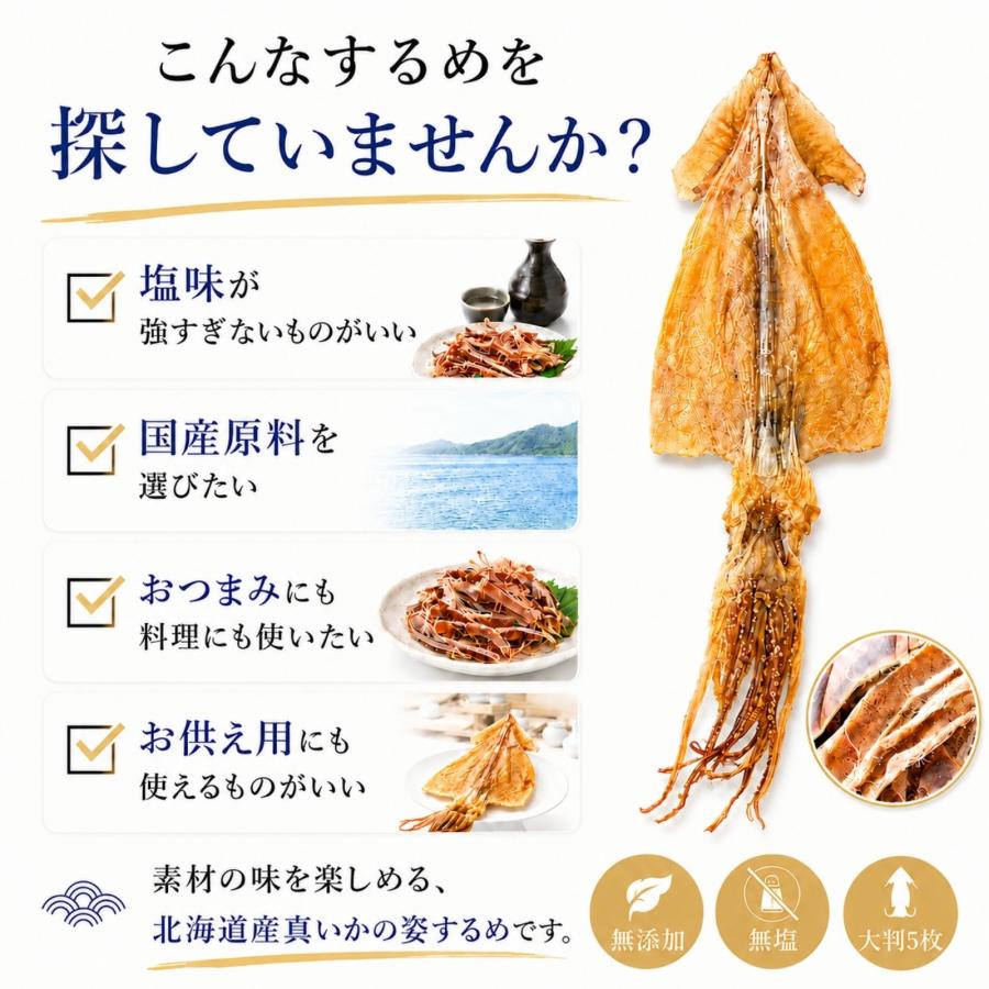 博屋 するめ 無添加 北海道産 国産 スルメイカ 大判 珍味 おつまみ 高