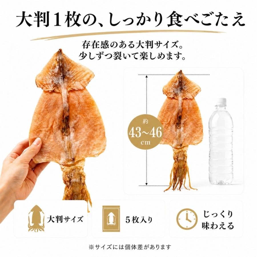 博屋 するめ 無添加 北海道産 国産 スルメイカ 大判 珍味 おつまみ 高