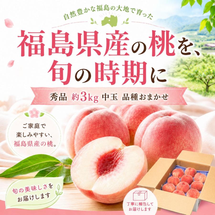 順次発送】博屋 福島県産 桃 秀品 (品種おまかせ) 約3kg (中玉) x 1箱