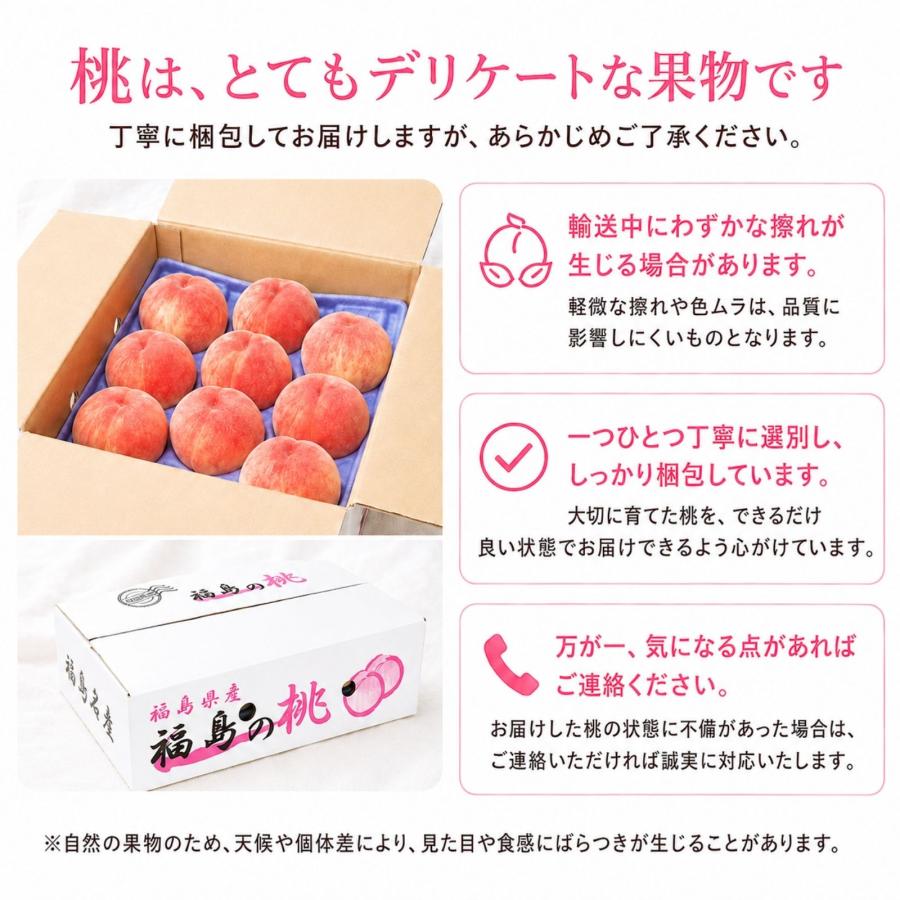 順次発送】博屋 福島県産 桃 秀品 (品種おまかせ) 約3kg (中玉) x 1箱
