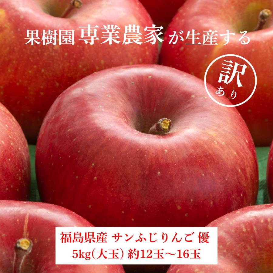 りんご サンふじ 大玉 福島県産 産地直送 甘い 林檎 フルーツ 優 5kg