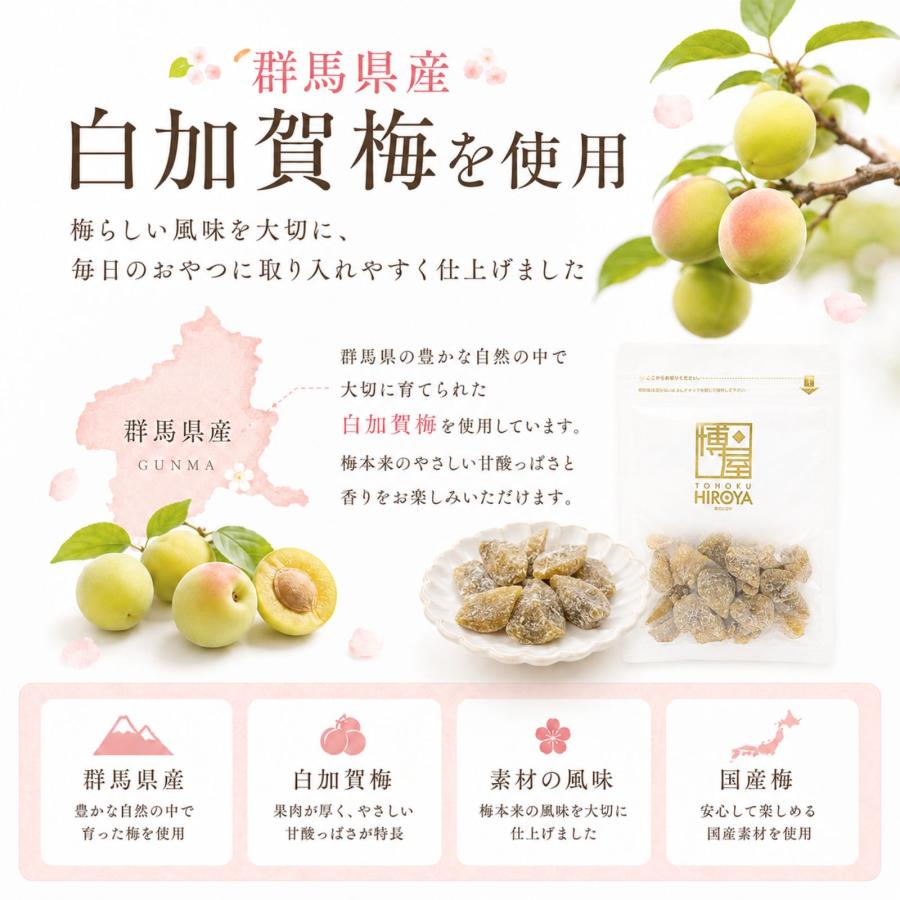 博屋 ドライフルーツ 国産 白加賀梅 国産梅 干し梅 種なし 甘酸っぱい