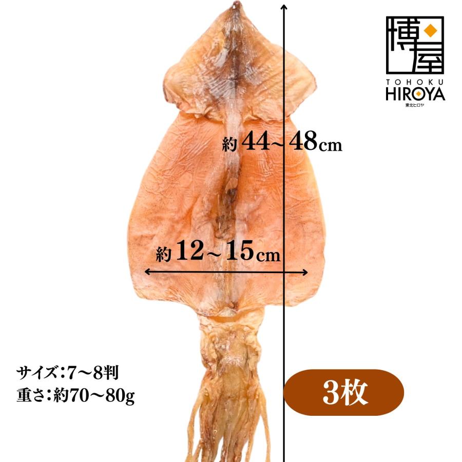 博屋 するめ 真いか 北海道産 無添加 姿 するめ x 3枚 国産 無塩 業務 