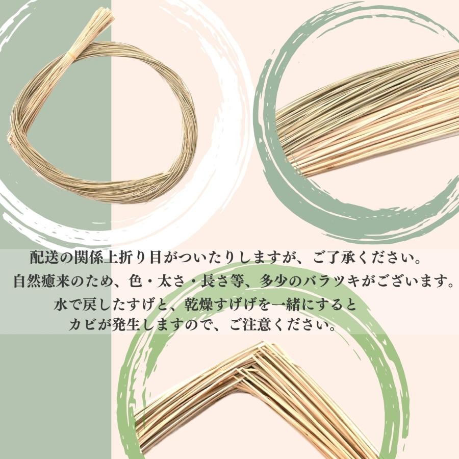 博屋 ちまき 笹巻 笹団子 飾り 紐 すげ い草 調理材料 食品素材 和菓子 乾燥笹、すげ