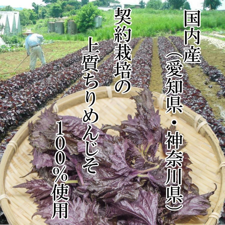 もみしそ しその葉 赤しそ 送料無料 梅干し用しその葉 国内産 500g X 10袋 生梅2kg用 40 302 10 おつまみ問屋 Com 通販 Yahoo ショッピング