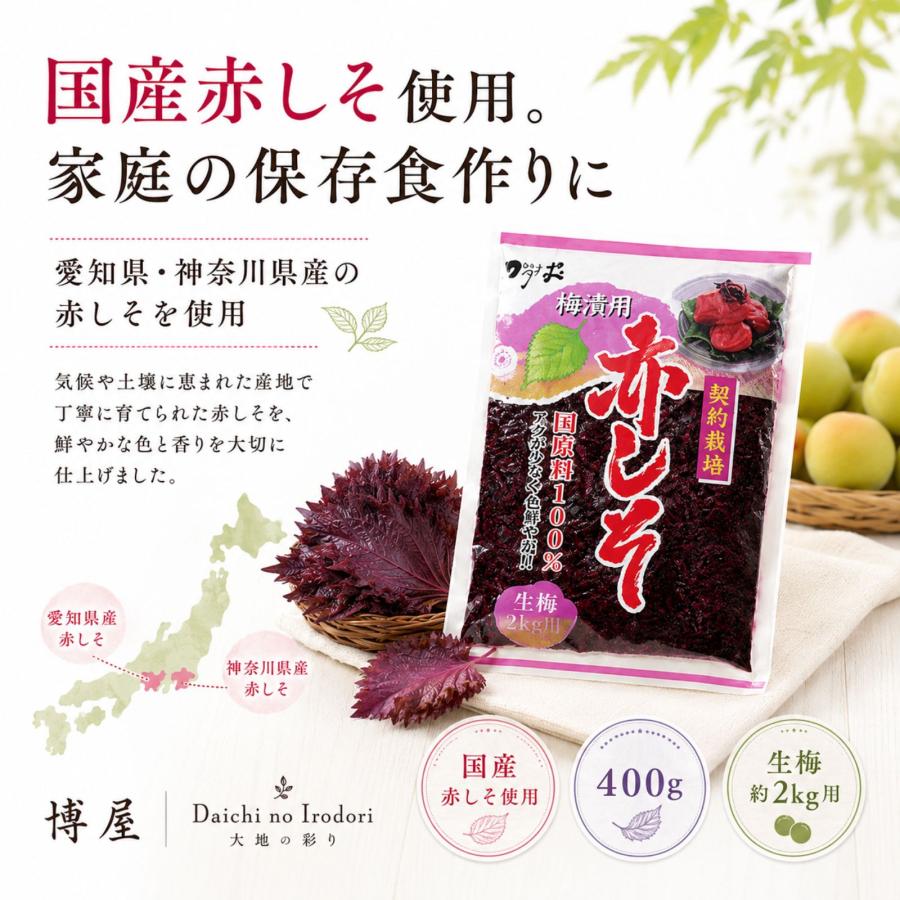 赤しそ 国産 梅干し用 もみしそ 400g 梅2kg用 しそ漬け 梅漬け用 保存