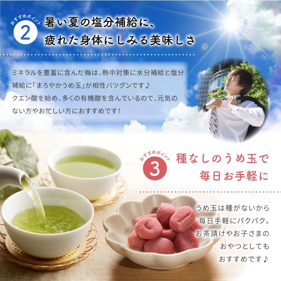 祝開店大放出セール開催中 駄菓子 種なし梅干し うめぼし 梅玉 うめ玉 35g X 6袋 送料無料 チャック袋 お見舞い