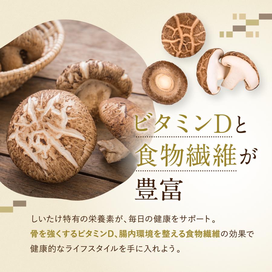 博屋 しいたけっ粉 130g x 2袋 しいたけ 粉 島原産 しいたけ粉 椎茸 