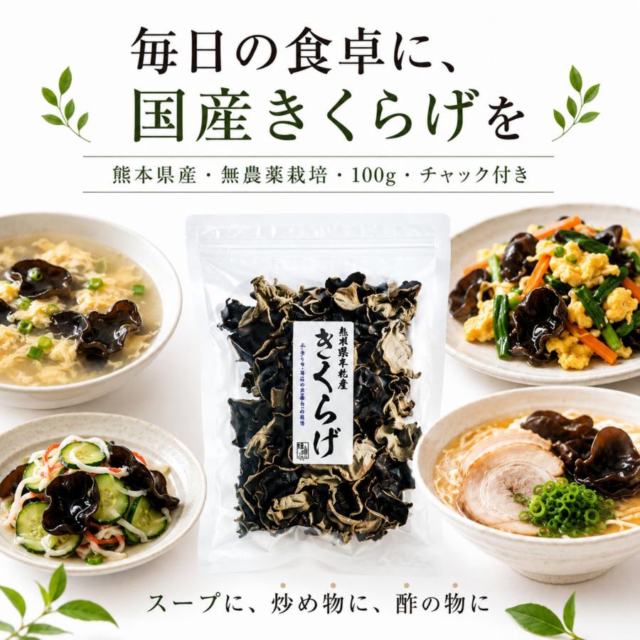博屋 乾燥 きくらげ 国産 九州産 熊本産 無農薬 食物繊維 中華