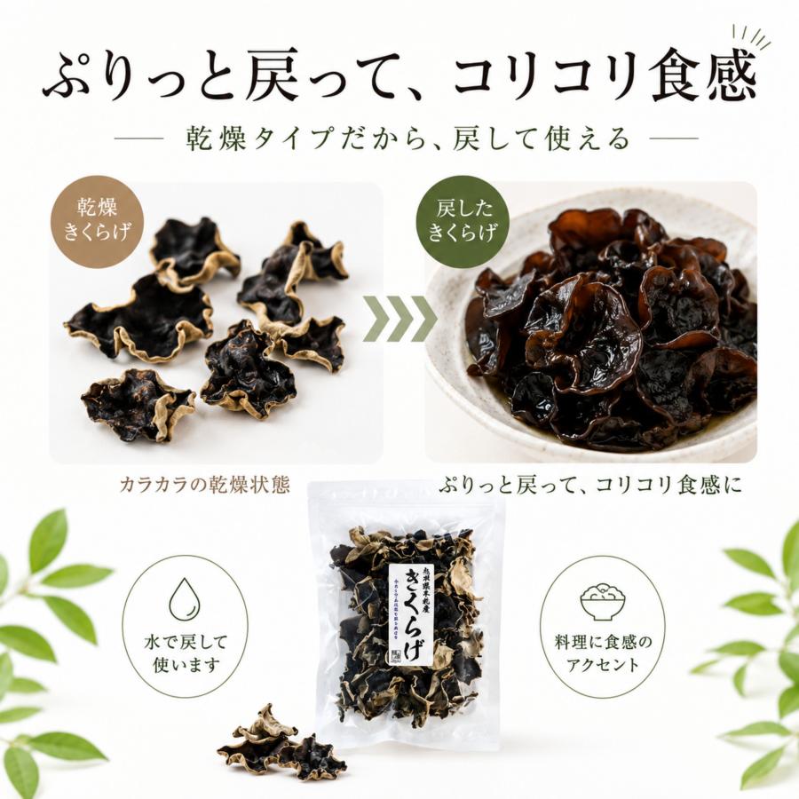 博屋 乾燥 きくらげ 国産 九州産 熊本産 無農薬 食物繊維 中華