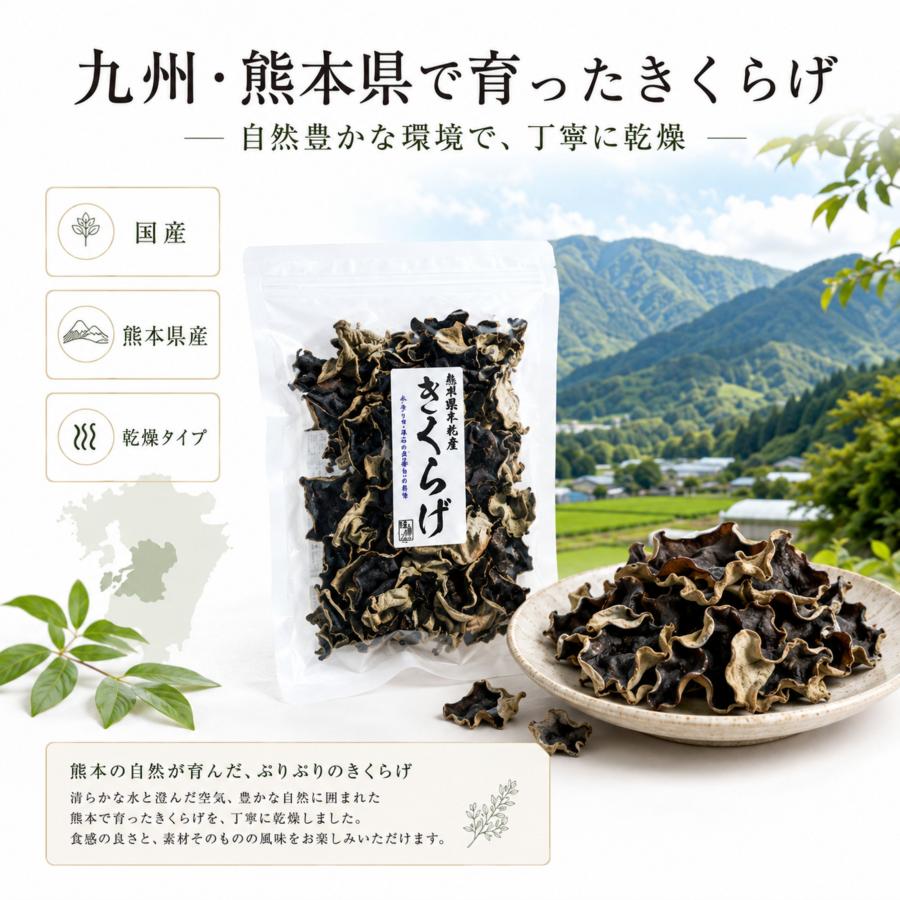 博屋 乾燥 きくらげ 国産 九州産 熊本産 無農薬 食物繊維 中華