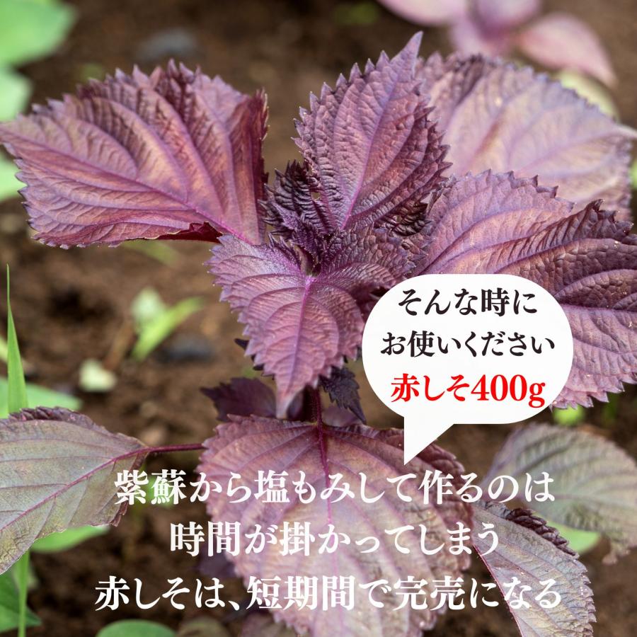 赤しそ 国産 梅干し用 もみしそ 400g 梅2kg用 しそ漬け 梅漬け用 保存