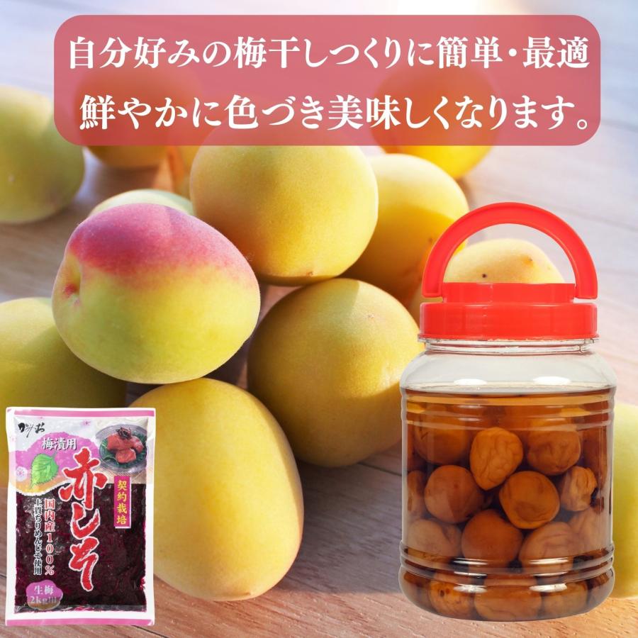 博屋 梅漬用 赤しそ 500g x 1袋 生梅2kg用 もみしそ しその葉 博屋 梅漬用 赤しそ 500g x 1袋 生梅2kg用 もみしそ しその葉