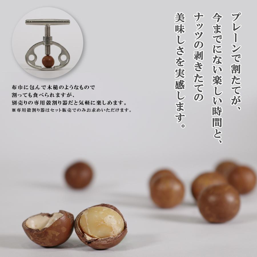 ナッツ マカデミアナッツ 殻付き 殻つきマカダミアナッツ 送料無料 650g x 1袋 チャック袋入 :70-904-01:おつまみ問屋.com - 通販 - Yahoo!ショッピング ナッツ マカデミアナッツ 殻付き 殻つきマカダミアナッツ 送料無料 650g x 1袋 チャック袋入 :70-904-01:おつまみ問屋.com - 通販 - Yahoo!ショッピング