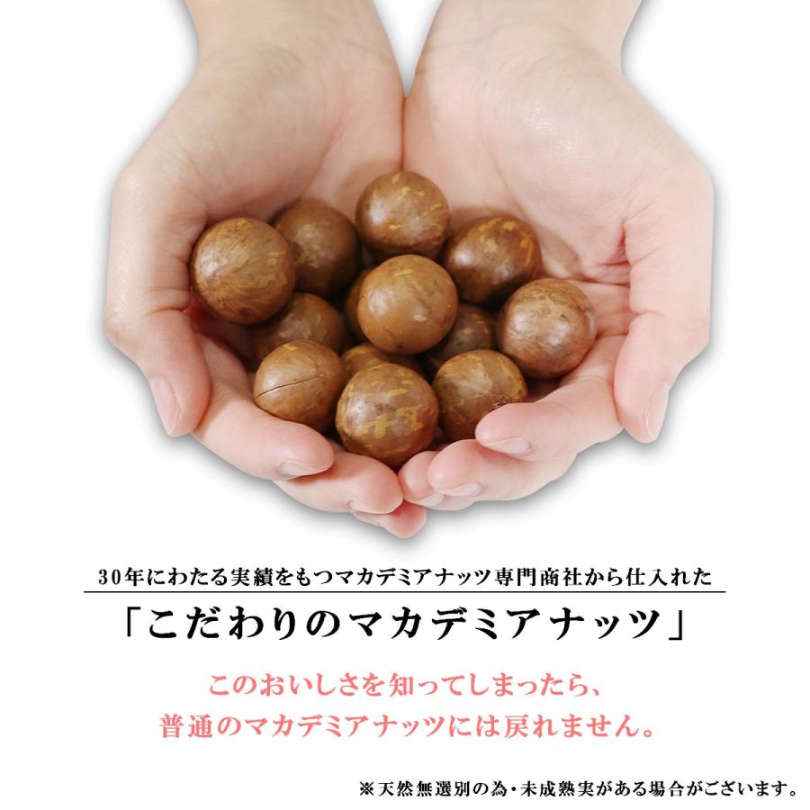 博屋 殻付き マカダミアナッツ 無添加 無塩 ロースト チャック袋入