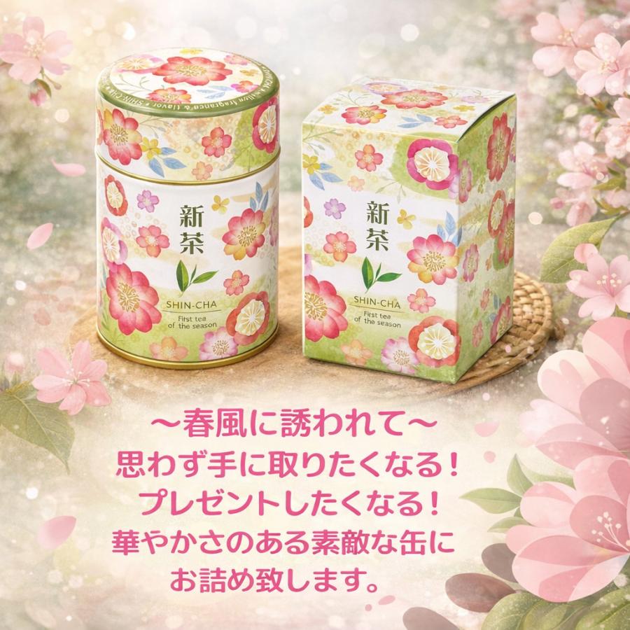 新茶 緑茶 深蒸し茶 真翠 100g新茶缶 200g新茶缶 日本茶 静岡茶ギフト