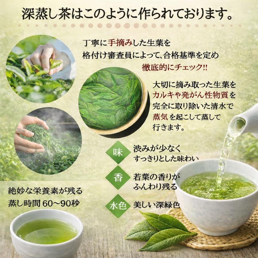 新茶 緑茶 深蒸し茶 真翠 100g新茶缶 200g新茶缶 日本茶 静岡茶ギフト