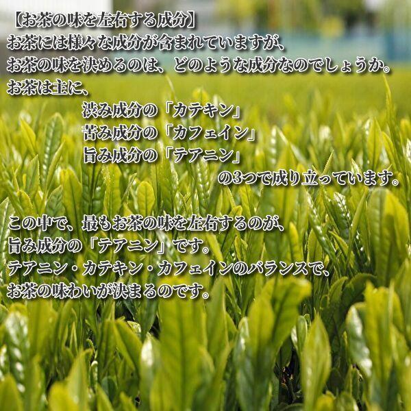 八女茶 煎茶 上煎茶 100g 奥八女茶 通販 ギフト 高級 おすすめ 緑茶