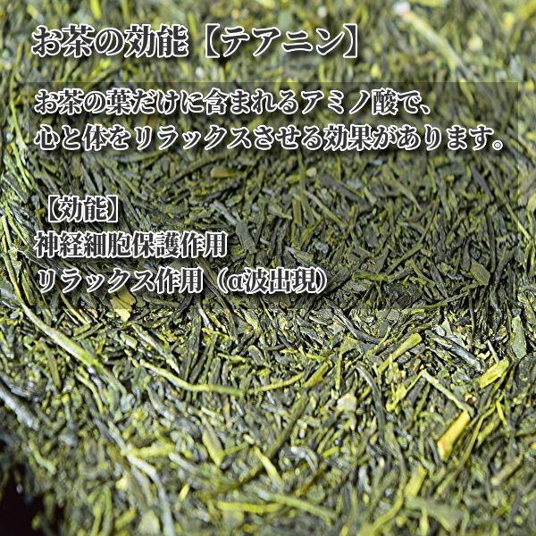 八女茶 煎茶 上煎茶 100g 奥八女茶 通販 ギフト 高級 おすすめ 緑茶