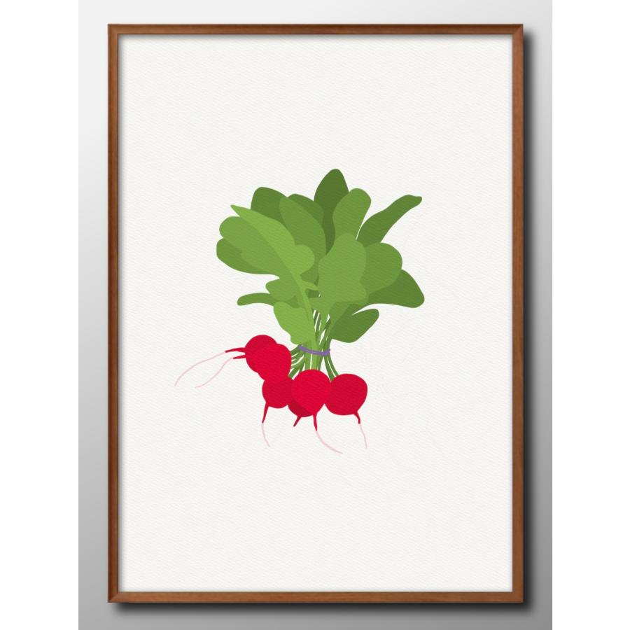 アート ポスター おしゃれ 絵画 インテリア レッドラディッシュ 野菜 