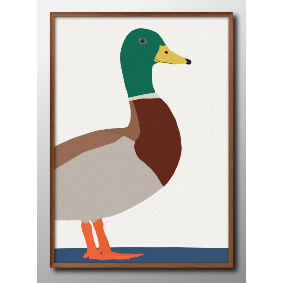 ポスター 鴨 カモ 鳥 バード 絵画 インテリア A3サイズ アート 新築