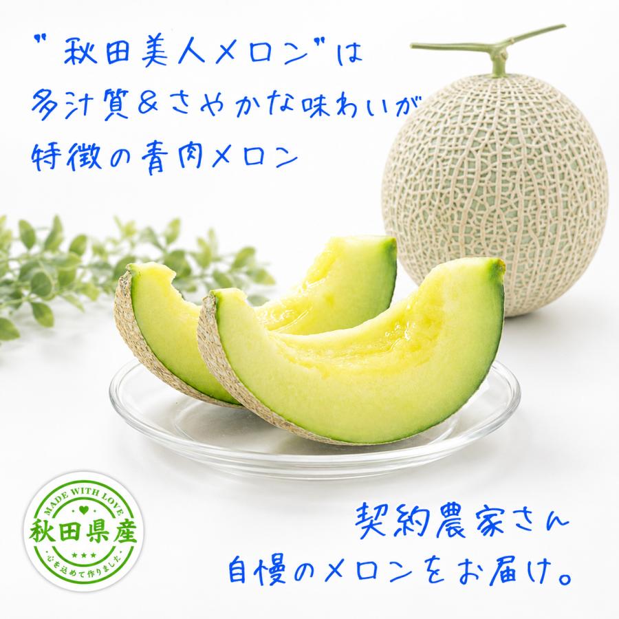 秋田美人メロン 3L 2玉 糖度15度以上 化粧箱入り お中元 出荷時期7月