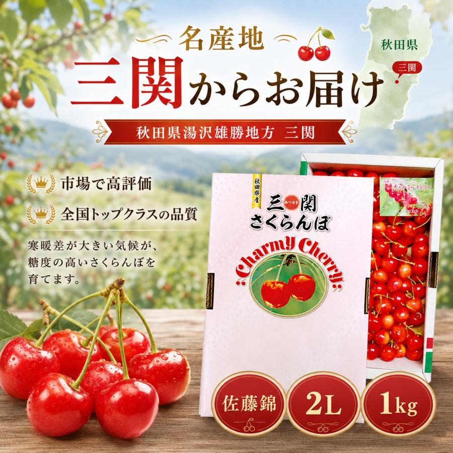 さくらんぼ 佐藤錦 秋田県 三関産 1kg 2Lサイズ バラ詰め JAこまち お