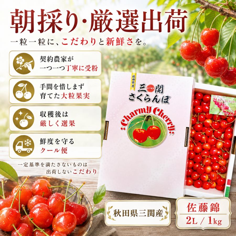 さくらんぼ 佐藤錦 秋田県 三関産 1kg 2Lサイズ バラ詰め JAこまち お