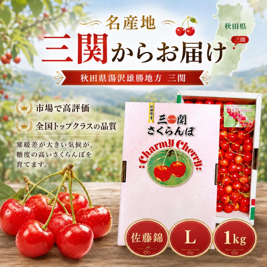 さくらんぼ 佐藤錦 秋田県 三関産 1kg Lサイズ バラ詰め JAこまち お