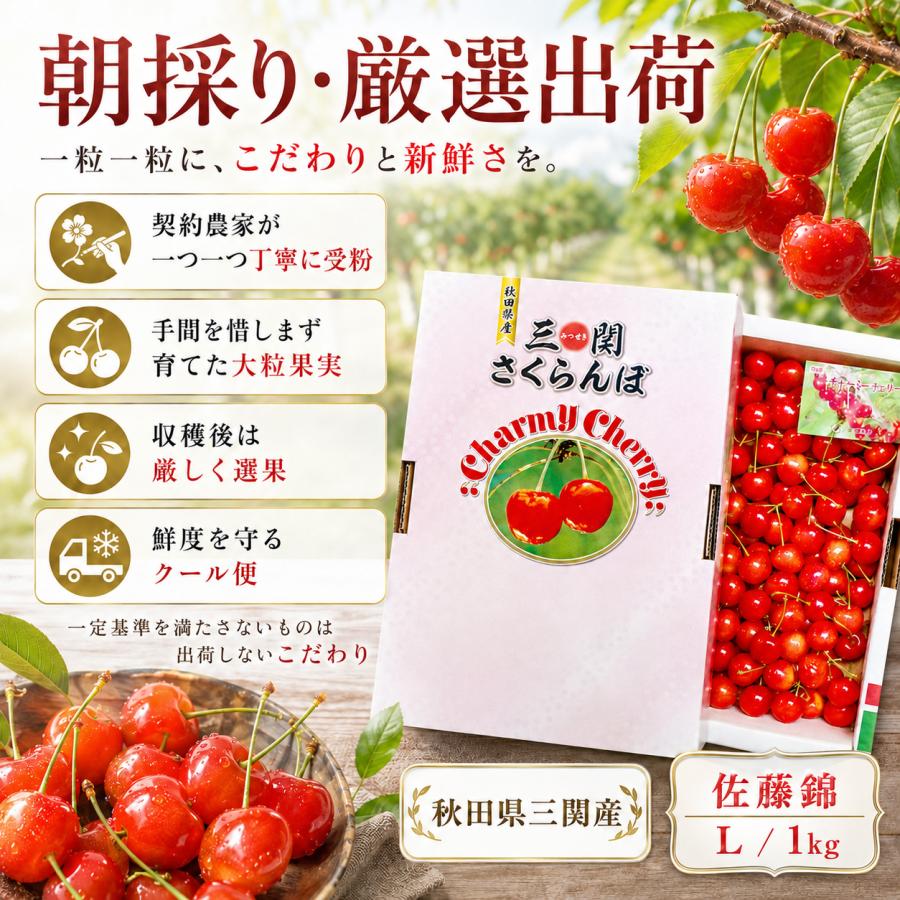 さくらんぼ 佐藤錦 秋田県 三関産 1kg Lサイズ バラ詰め JAこまち お